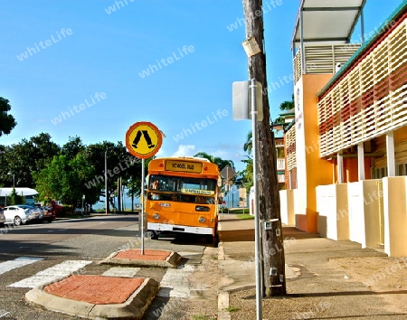 School Bus