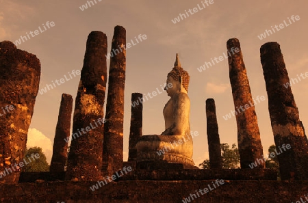 Eine Buddha Figur  im Wat Mahathat Tempel in der Tempelanlage von Alt-Sukhothai in der Provinz Sukhothai im Norden von Thailand in Suedostasien.