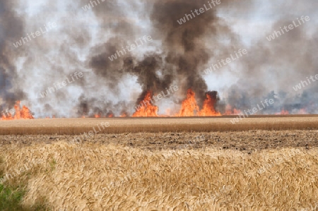 Brennendes Feld