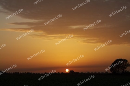 Sundown / Sonnenuntergang