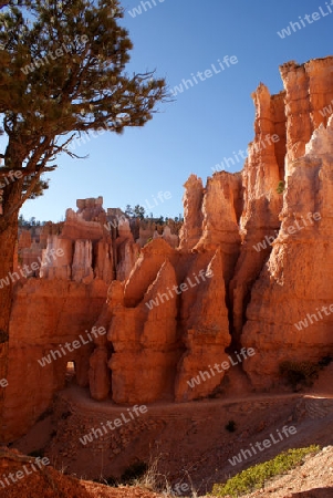 Bryce Canyon