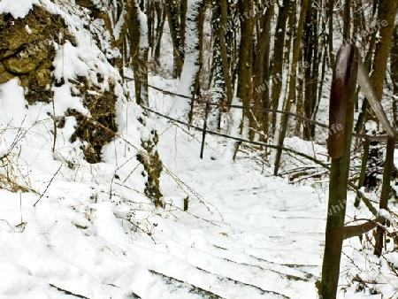 verschneiter Waldweg