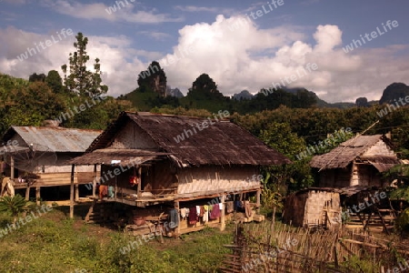 Ein Bergdorf in der Bergregion beim Dorf Kasi an der Nationalstrasse 13 zwischen Vang Vieng und Luang Prabang in Zentrallaos von Laos in Suedostasien.