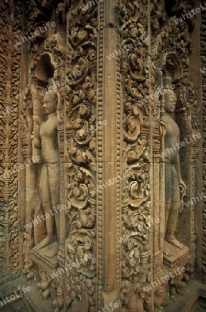 the Banteay Srei temple in Angkor at the town of siem riep in cambodia in southeastasia. 