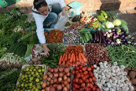 Auf dem Markt in der Altstadt von Luang Prabang in Zentrallaos von Laos in Suedostasien.