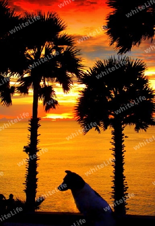 phrom,thep.cap,phuket,thailand,sonnenuntergang