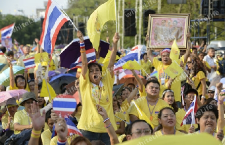 Tausende von Thailaender zelebrieren den Kroenungstag des Koenig Bhumibol auf dem Sanam Luang Park vor dem Wat Phra Kaew in der Stadt Bangkok in Thailand in Suedostasien.  