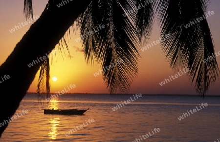 Ein Traumstrand bei Sonnenuntergang bei Bwejuu an der Ostkuester der Insel Zanzibar oestlich von Tansania im Indischen Ozean.