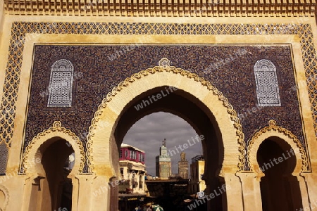 The blue Gate at the Bab Bou Jeloud in the old City in the historical Town of Fes in Morocco in north Africa.