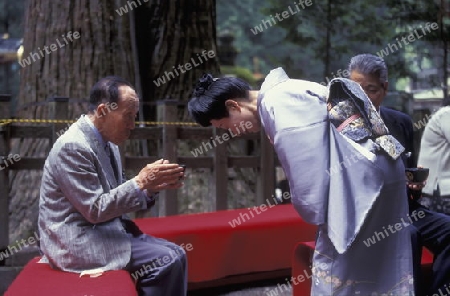 a tea ceremony in a traditional teahouse in the City centre of Tokyo in Japan in Asia,



