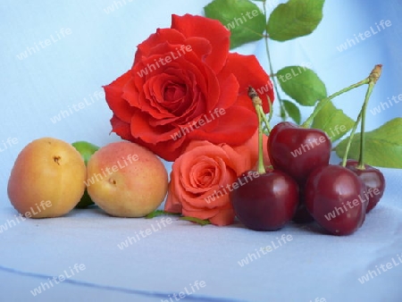 Rose and fruits