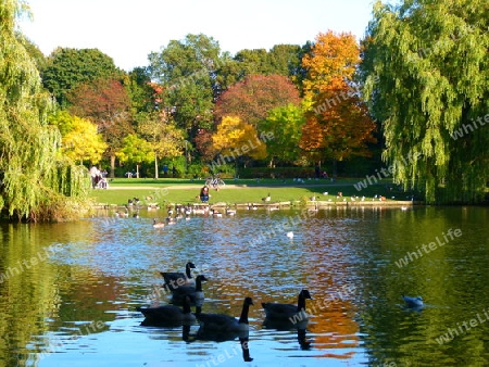 Herbst im Park