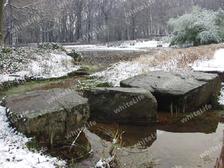 Winter im Park