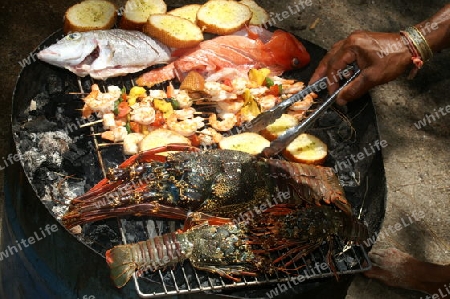 Sea Food auf Mauritius