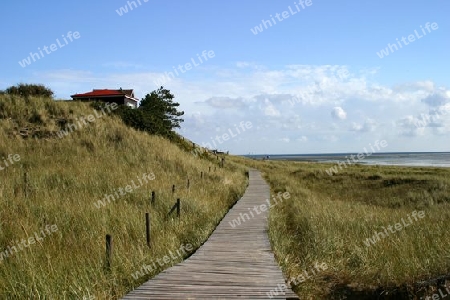 sylt