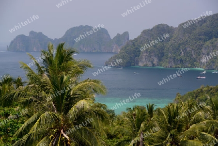 The view from the Viewpoint on the Town of Ko PhiPhi on Ko Phi Phi Island outside of the City of Krabi on the Andaman Sea in the south of Thailand. 