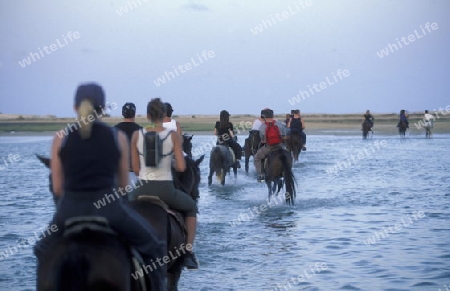 Afrika, Tunesien, Jerba
Eine Reit Tour durch die Lagune beim Strand auf der Insel Jerba im sueden von Tunesien. (URS FLUEELER)






