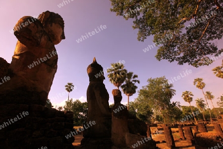 Ein Wat im Si Satchanalai-Chaliang Historical Park rund 50 Km von Sukhothai in der Provinz Sukhothai im Norden von Thailand in Suedostasien.