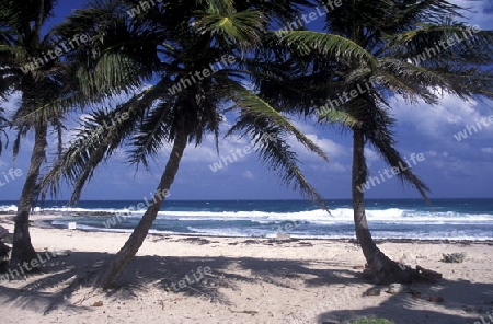 The Beach of Cancun in the Province Yucatan in the south of Mexico 