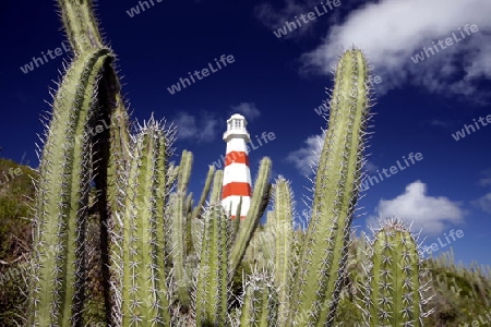 Suedamerika, Karibik, Venezuela, Isla Margarita, Pedro Gonzalez, Playa Pedro Gonzalez, Leuchtturm, Turm, Wetter, Wolken, Idylle, Landschaft, Architektur, Kaktus