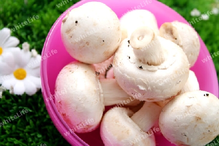 Champignons