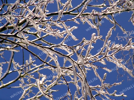 Winterhimmel