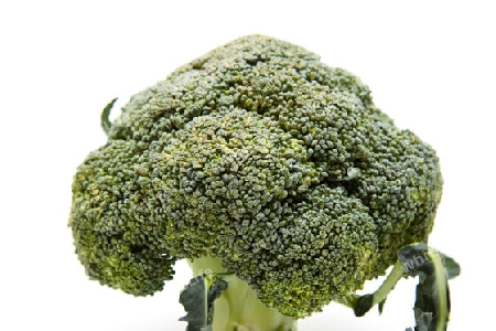 Frischer Broccoli