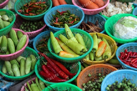 Gemuese auf dem Markt von Nonthaburi im Norden von Bangkok der Hauptstadt von Thailand in Suedostasien.  