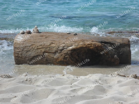 Stamm am Strand