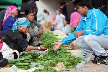 Der Markt im Bergdorf Mae Salong in der Huegellandschaft noerdlich von Chiang Rai in der Provinz Chiang Rai im Norden von Thailand in Suedostasien.