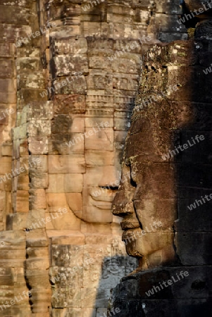 Stone Faces the Tempel Ruin of Angkor Thom in the Temple City of Angkor near the City of Siem Riep in the west of Cambodia.