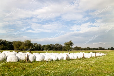 Landschaft mit Strohballen