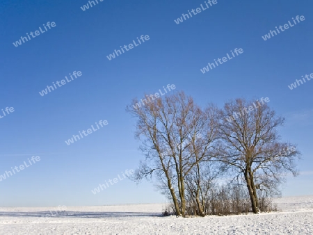 Winterlandschaft