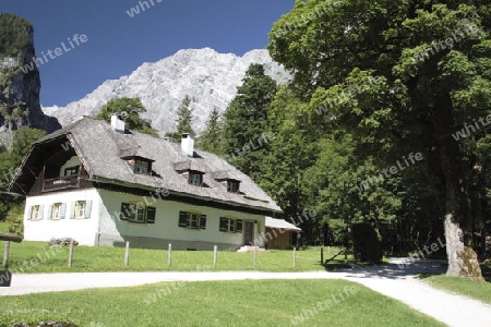 Watzmann Ostwand von St. Bertholom?