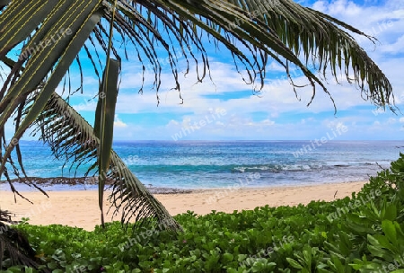 Sunny day beach view on the paradise islands Seychelles.