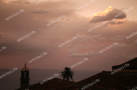 The coast in the village of  Puerto de la Cruz on the Island of Tenerife on the Islands of Canary Islands of Spain in the Atlantic.  