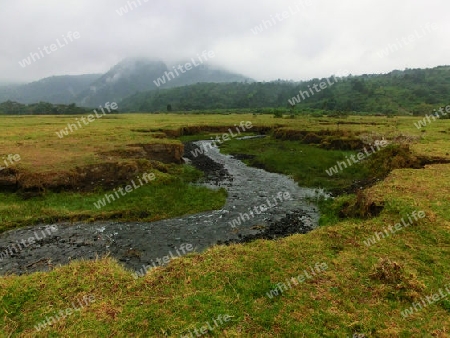 Im Arusha National Park