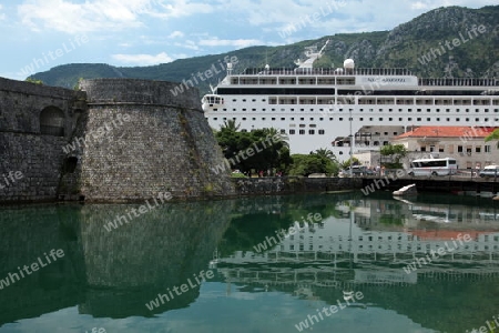 Europa, Osteuropa, Balkan. Montenegro, Mittelmeer, Adria, Kotor, Bucht von Kotor, Bucht, Altstadt, Kreuzfahrt, Schiff,    