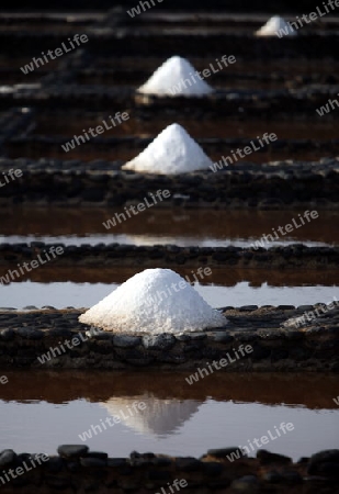 the Salinas of Las Salinas on the Island Fuerteventura on the Canary island of Spain in the Atlantic Ocean.