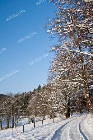 winterliche Szene 