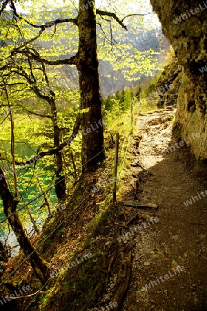 K?nigssee.Obersee.13