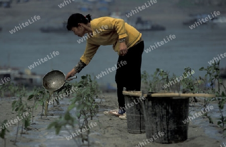 agroculture in the village of fengjie at the yangzee river in the three gorges valley up of the three gorges dam project in the province of hubei in china.