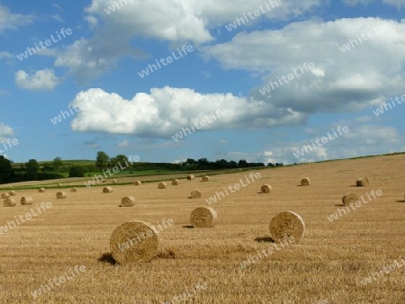 Strohballen auf einem Feld