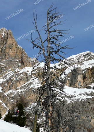 Winterlandschaft