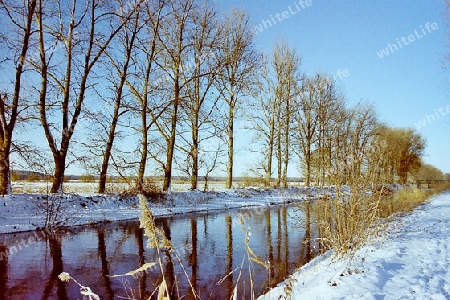 Die Nuthe im eisigen Winter