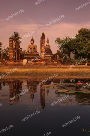 Der Wat Mahathat Tempel in der Tempelanlage von Alt-Sukhothai in der Provinz Sukhothai im Norden von Thailand in Suedostasien.