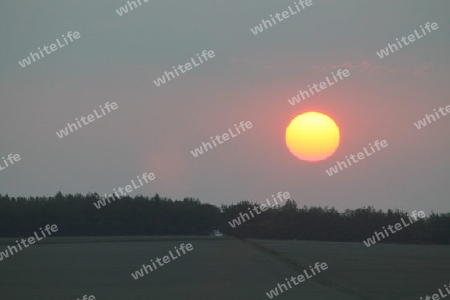 Abendsonne/Sonnenuntergang