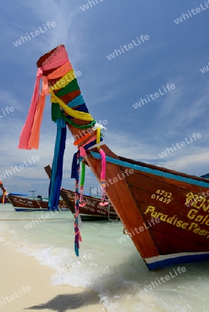 A Beach on the Island of Ko PhiPhi on Ko Phi Phi Island outside of the City of Krabi on the Andaman Sea in the south of Thailand. 