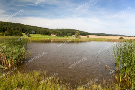 idyllischer See in Th?ringen