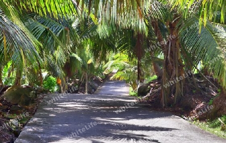 Beautiful impressions of the tropical landscape paradise on the Seychelles islands